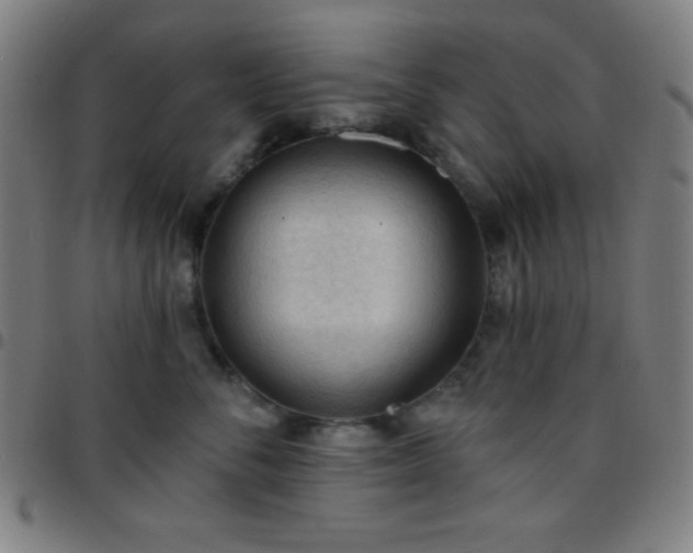 X0000097650716200803071509