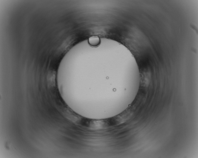 X0000097650717200803071509