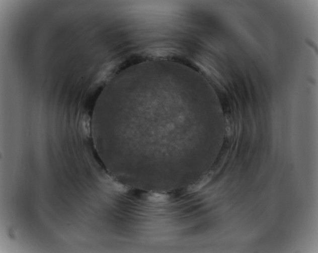 X0000097650718200803071509