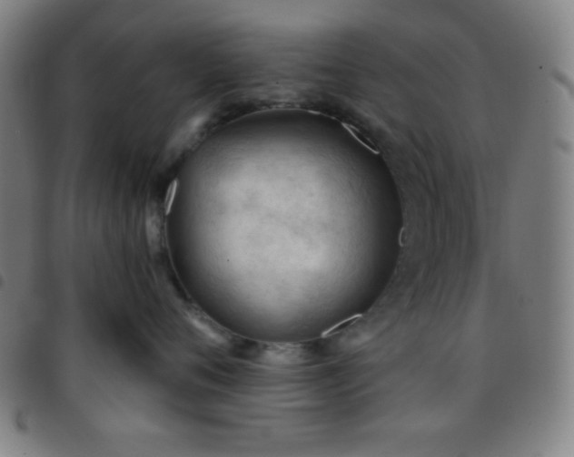 X0000097650720200803071509