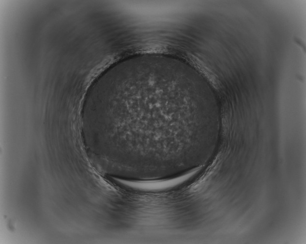 X0000097650721200803071508