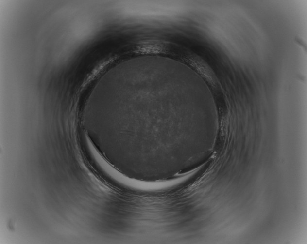 X0000097650722200803071508