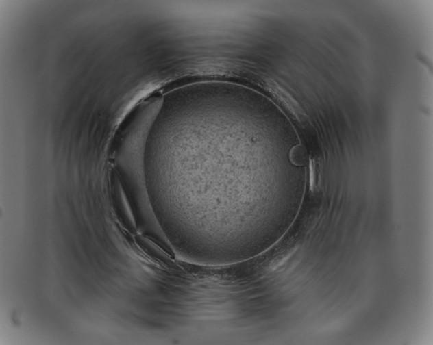 X0000097650723200803071508