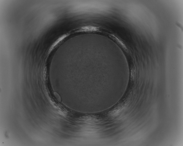 X0000097650724200803071508