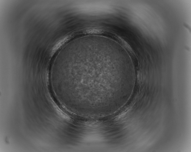 X0000097650725200803071508