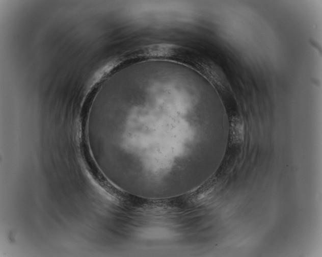 X0000097650726200803071508