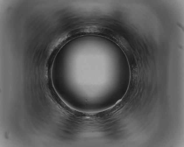 X0000097650727200803071508