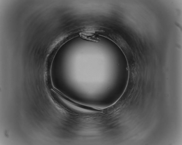 X0000097650728200803071508