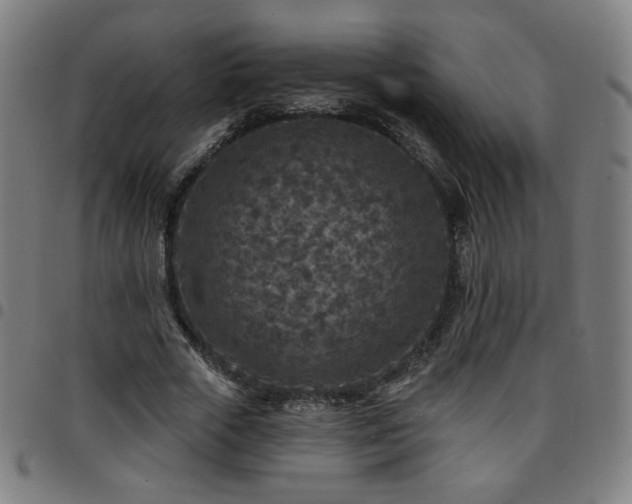 X0000097650729200803071508