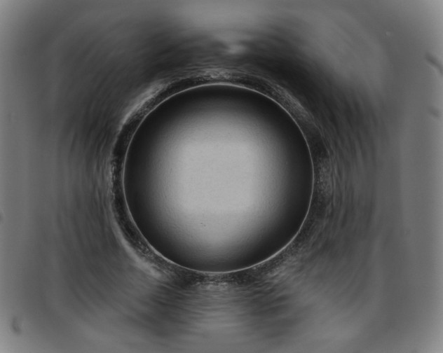 X0000097650730200803071508