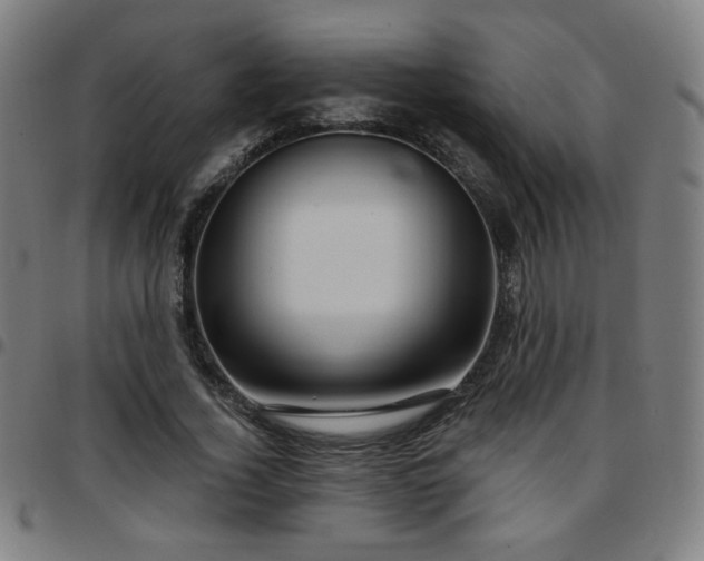 X0000097650732200803071508