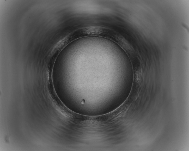 X0000097650733200803071508