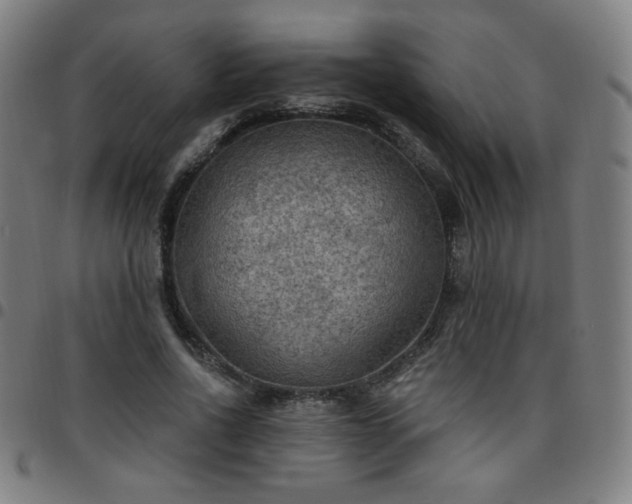 X0000097650734200803071508