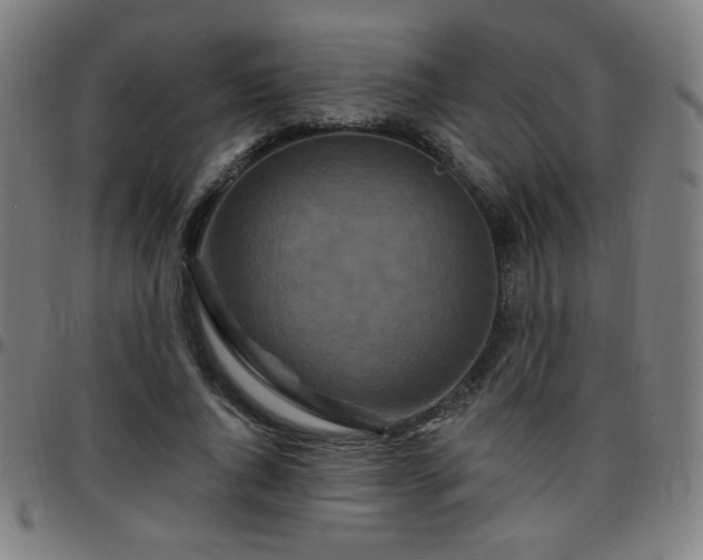 X0000097650736200803071509