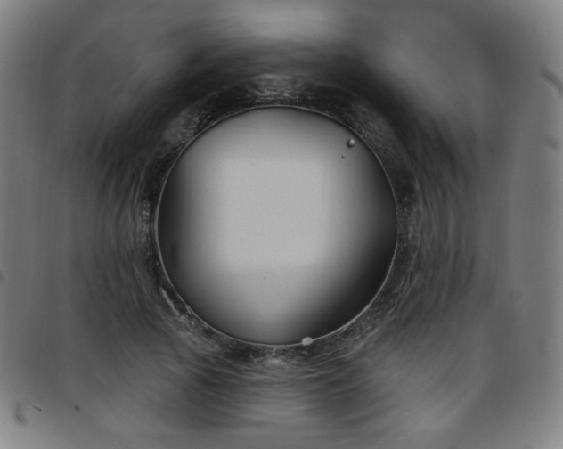 X0000097650737200803071509