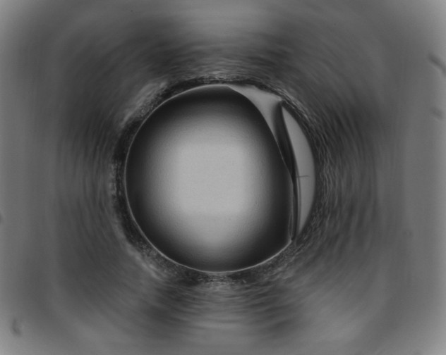 X0000097650738200803071509