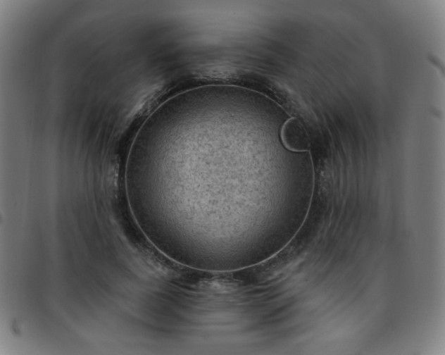 X0000097650739200803071509