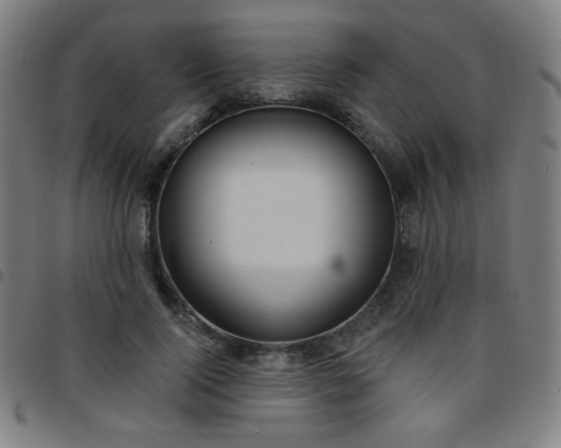 X0000097650740200803071509