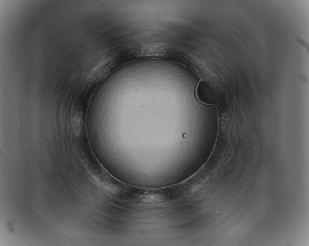 X0000097650741200803071509