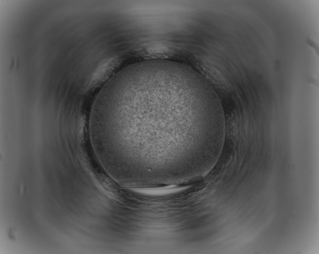 X0000097650742200803071509