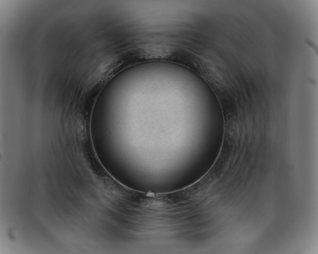 X0000097650743200803071509