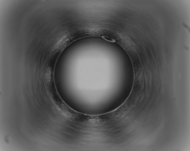 X0000097650744200803071509