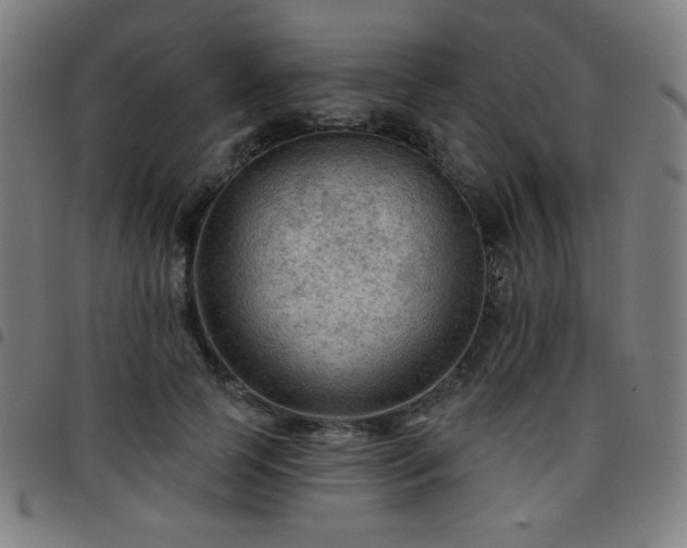 X0000097650745200803071509