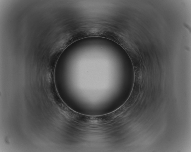 X0000097650746200803071509