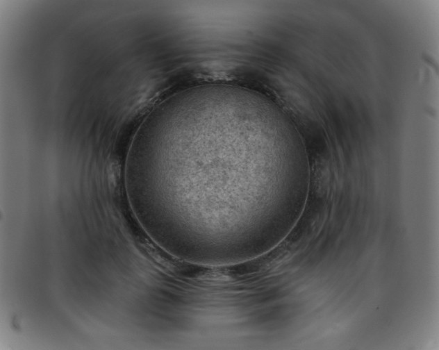 X0000097650747200803071509