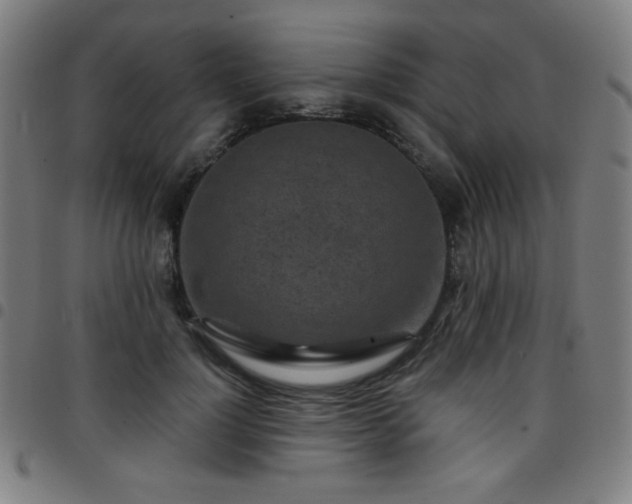 X0000097650748200803071509