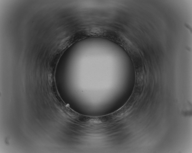 X0000097650749200803071509