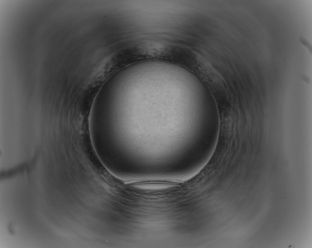 X0000097650750200803071509