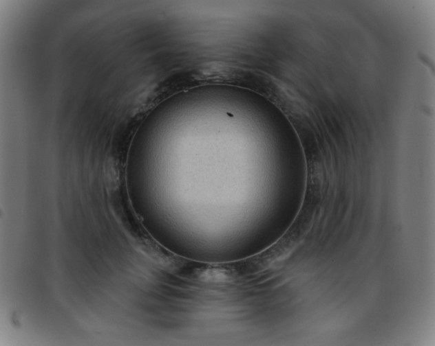 X0000097650751200803071509