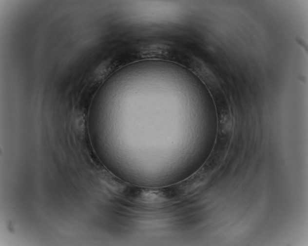 X0000097650753200803071509