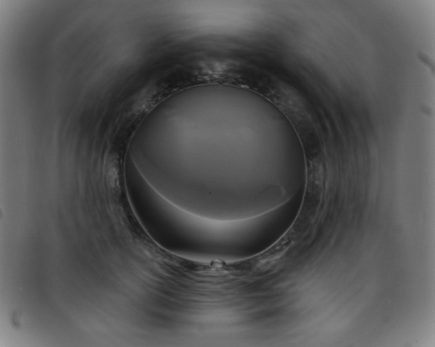 X0000097650754200803071509