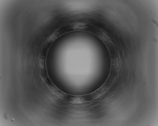 X0000097650755200803071509