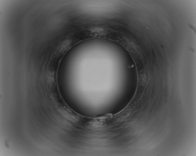 X0000097650756200803071509