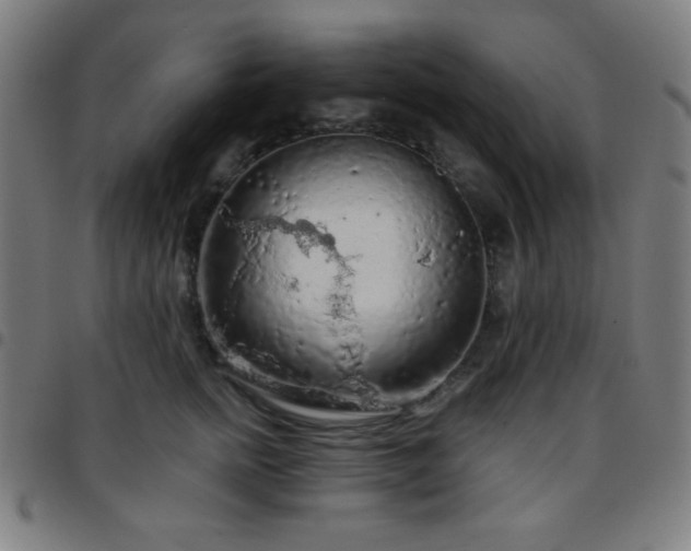 X0000097650758200803071509