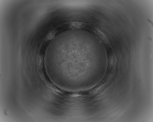 X0000097650759200803071509