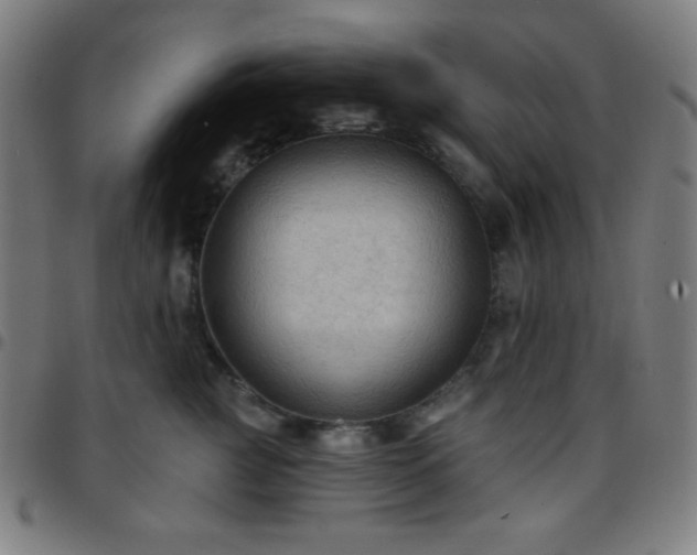 X0000097650761200803071509