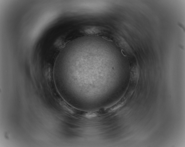 X0000097650762200803071509