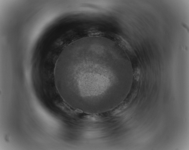 X0000097650763200803071509