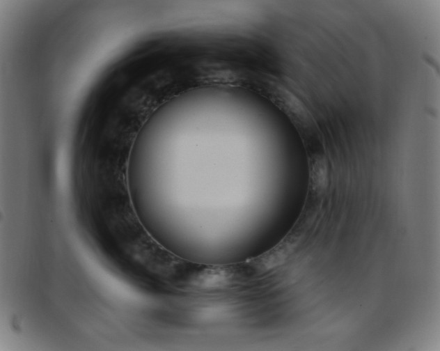 X0000097650764200803071509