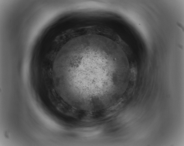 X0000097650765200803071509