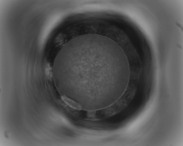 X0000097650766200803071509