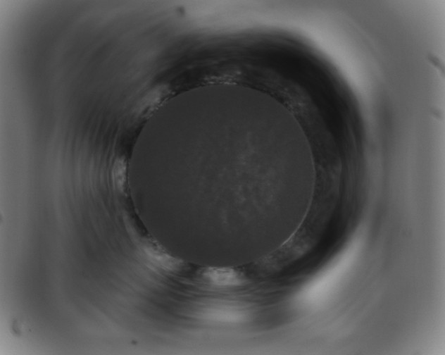 X0000097650767200803071509