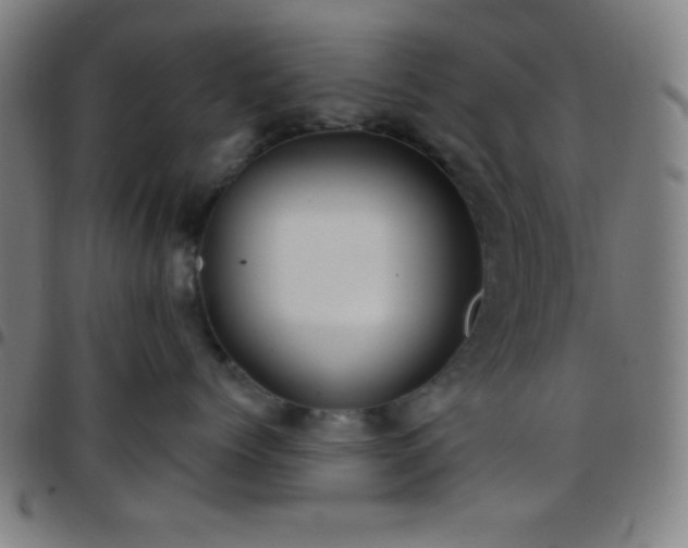 X0000097650768200803071509