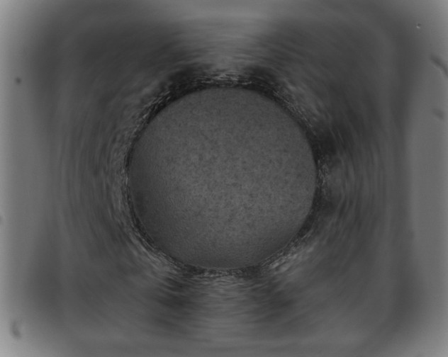 X0000097650769200803071508