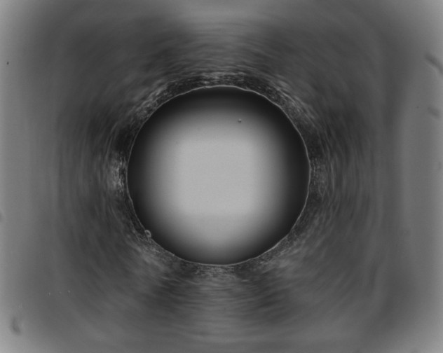 X0000097650770200803071508