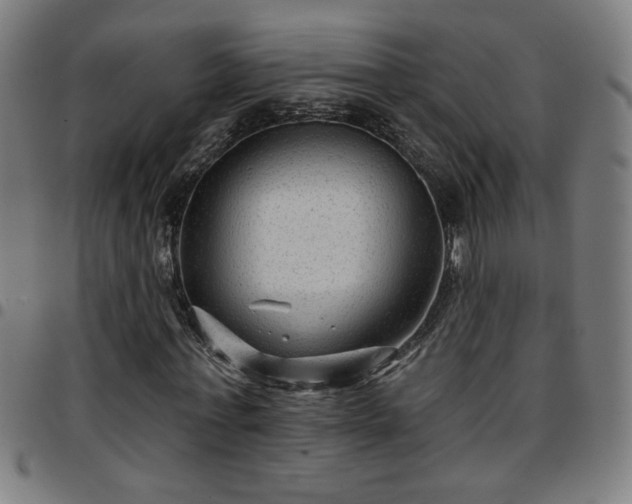 X0000097650771200803071508